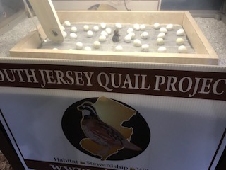 Quail eggs in a hatchery. Below the hatchery is a South Jersey Quail Project banner.